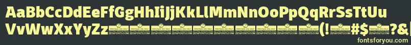 DomotikaHeavyTrial Font – Yellow Fonts on Black Background