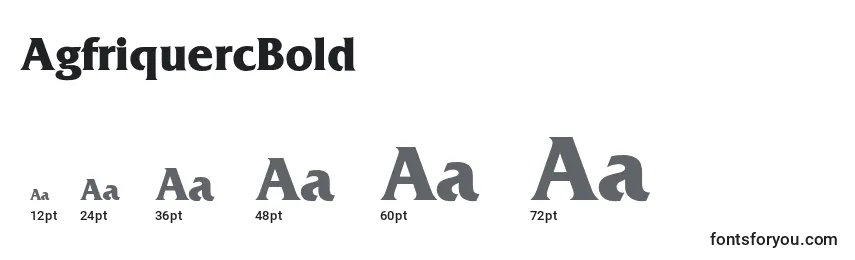 Размеры шрифта AgfriquercBold