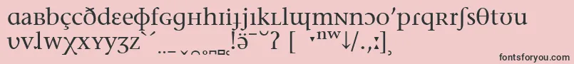 フォントStoneSerifPhoneticIpa – ピンクの背景に黒い文字