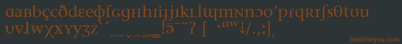 フォントStoneSerifPhoneticIpa – 黒い背景に茶色のフォント