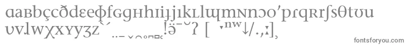 フォントStoneSerifPhoneticIpa – 白い背景に灰色の文字