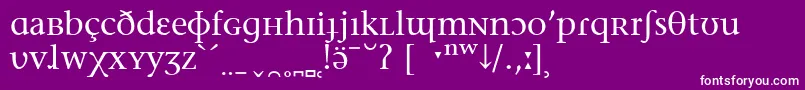 フォントStoneSerifPhoneticIpa – 紫の背景に白い文字