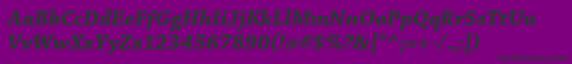 ChaparralproBolditsubh Font – Black Fonts on Purple Background