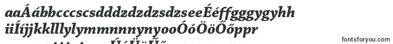 Шрифт ChaparralproBolditsubh – венгерские шрифты