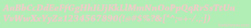 ChaparralproBolditsubh Font – Pink Fonts on Green Background