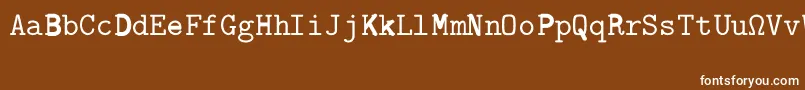 CmTypewriterRegular Font – White Fonts on Brown Background