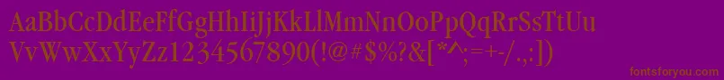 Шрифт Garamonditcteecon – коричневые шрифты на фиолетовом фоне