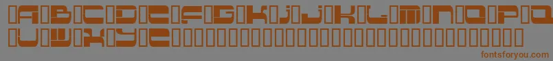 フォントInsert 2 – 茶色の文字が灰色の背景にあります。