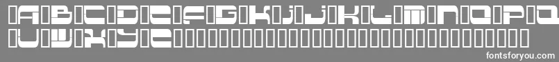 Insert 2 Font – White Fonts on Gray Background