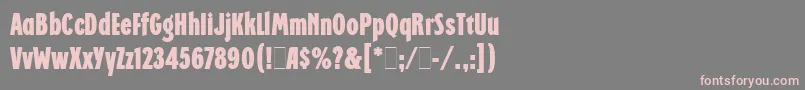 RegattaCondensedLetPlain.1.0 Font – Pink Fonts on Gray Background