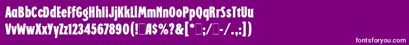 フォントRegattaCondensedLetPlain.1.0 – 紫の背景に白い文字