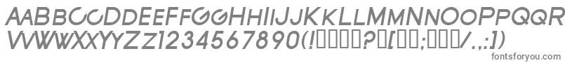 フォントSfNewRepublicScBoldItalic – 白い背景に灰色の文字