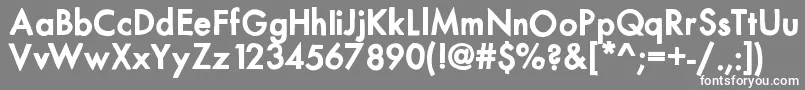 Mixmodernsolid Font – White Fonts on Gray Background