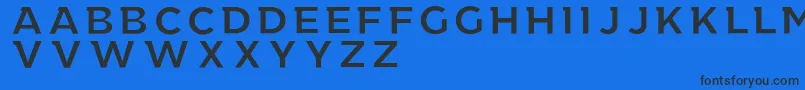 TheRealWorld Font – Black Fonts on Blue Background