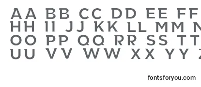 TheRealWorld Font