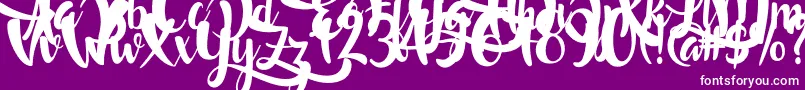 LostInWild Font – White Fonts on Purple Background