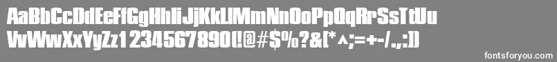 フォントPledgeblackRegular – 灰色の背景に白い文字