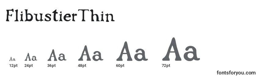 FlibustierThin Font Sizes
