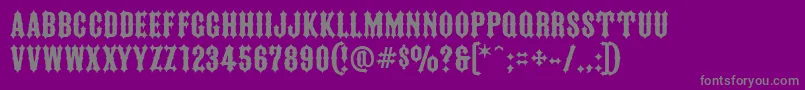 FtyIronriderNcv Font – Gray Fonts on Purple Background