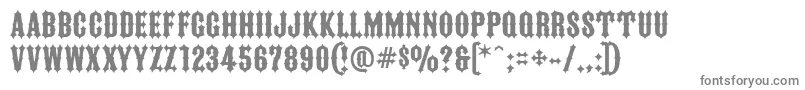 FtyIronriderNcv-fontti – harmaat kirjasimet valkoisella taustalla