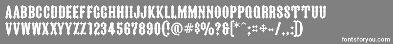 FtyIronriderNcv Font – White Fonts on Gray Background