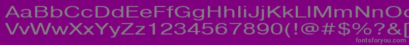 フォントPragmaticactt140n – 紫の背景に灰色の文字