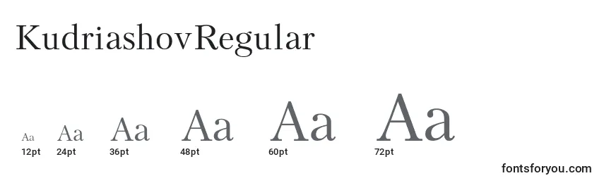 Размеры шрифта KudriashovRegular