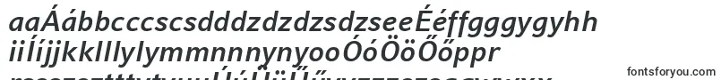 CompatilFactLtComBoldItalic Font – Hungarian Fonts