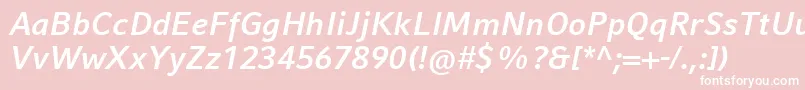 CompatilFactLtComBoldItalic Font – White Fonts on Pink Background