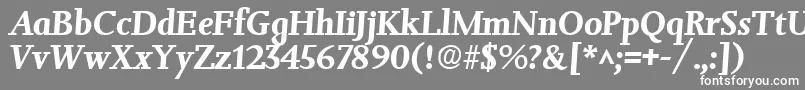 フォントJessicaBoldItalic – 灰色の背景に白い文字