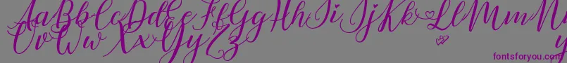 Шрифт LovelyDayPersonalUse – фиолетовые шрифты на сером фоне