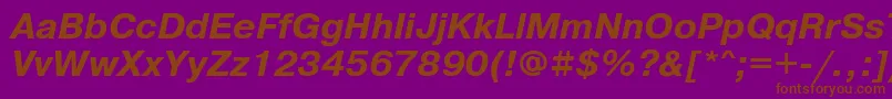 PragmaticattBolditalic Font – Brown Fonts on Purple Background