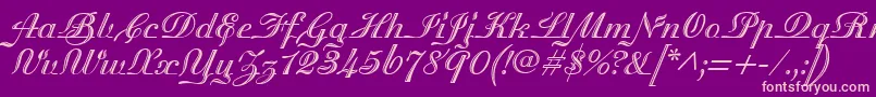 MadisonianEngraved-Schriftart – Rosa Schriften auf violettem Hintergrund