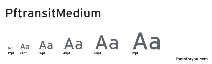 sizes of pftransitmedium font, pftransitmedium sizes