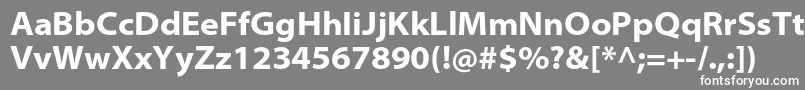 フォントMyriadproBoldsemiext – 灰色の背景に白い文字