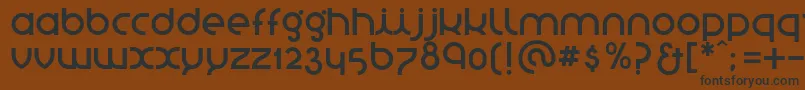 StNovasans Font – Black Fonts on Brown Background