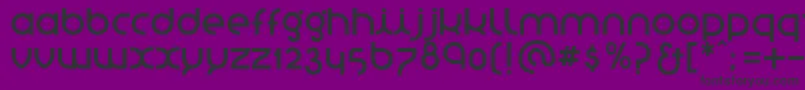 StNovasans Font – Black Fonts on Purple Background