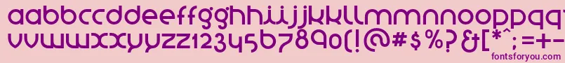 StNovasans Font – Purple Fonts on Pink Background