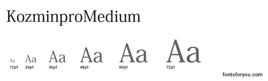 Размеры шрифта KozminproMedium