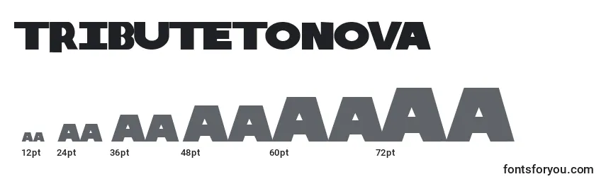 TributeToNova Font Sizes