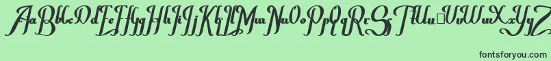 ChanceraBold Font – Black Fonts on Green Background