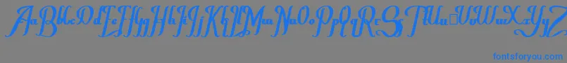 ChanceraBold Font – Blue Fonts on Gray Background