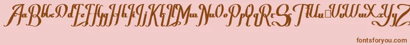 ChanceraBold Font – Brown Fonts on Pink Background
