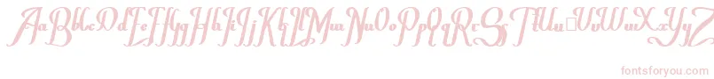 ChanceraBold Font – Pink Fonts on White Background