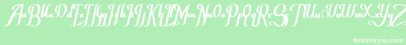 ChanceraBold Font – White Fonts on Green Background