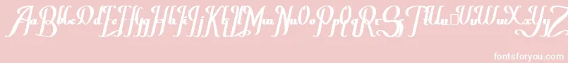 ChanceraBold Font – White Fonts on Pink Background
