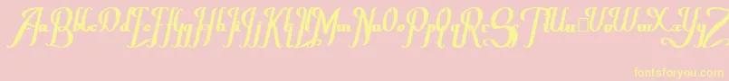 ChanceraBold Font – Yellow Fonts on Pink Background
