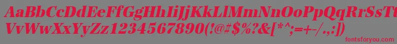 フォントUrwantiquatextbolextnarOblique – 赤い文字の灰色の背景