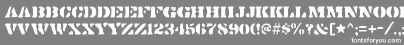 DirtybakersdozenRegular Font – White Fonts on Gray Background