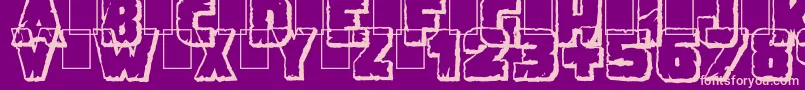DemolitionCrackShadow Font – Pink Fonts on Purple Background